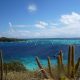 flore croisiere guadeloupe