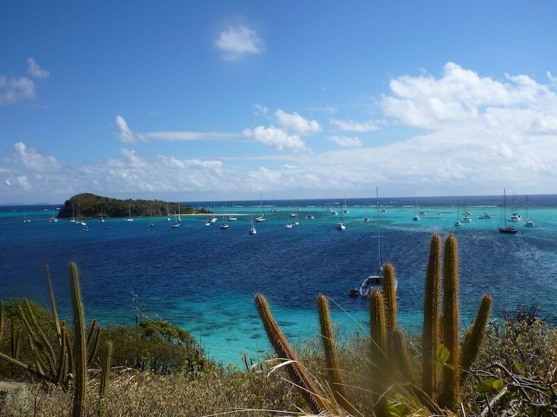 flore croisiere guadeloupe